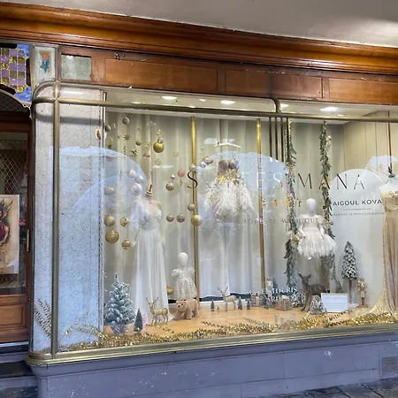 Mana- Art Ducal Avec Terrasse Sur L'arriere De La Place Ducale Parking Inclus Apartment Charleville-Mézières